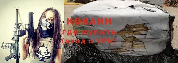 дурь Богданович