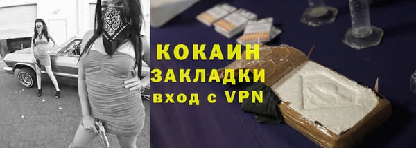 mdpv Богородск