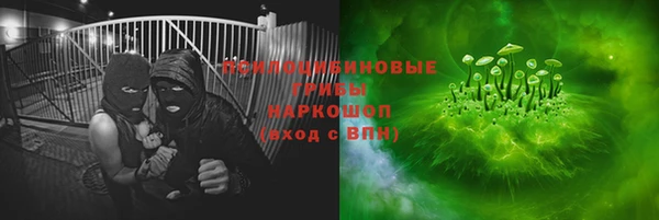 дурь Богданович