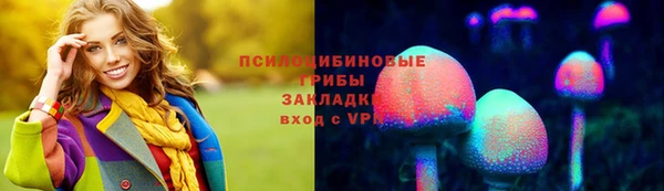mdpv Богородск