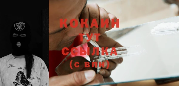 mix Богородицк