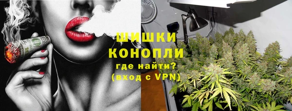 mix Богородицк