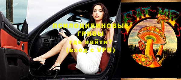 дурь Богданович