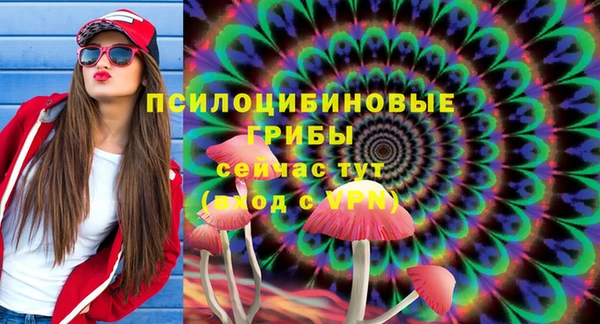 дурь Богданович