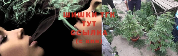 mdpv Богородск
