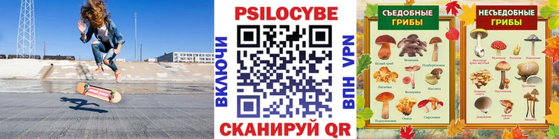 Псилоцибиновые грибы мицелий  хочу   Тольятти 