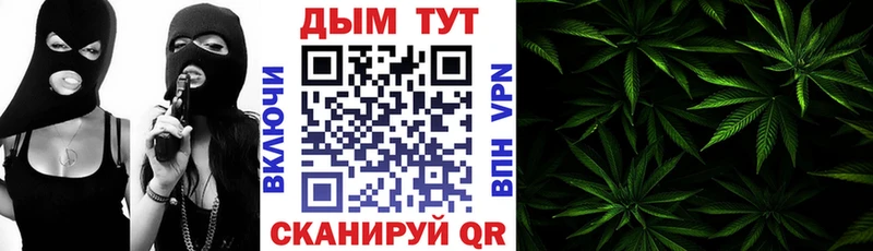 Бошки марихуана MAZAR  как найти   Тольятти 